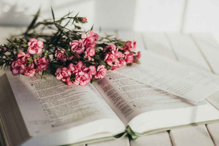 Approach Your Bible With Confidence