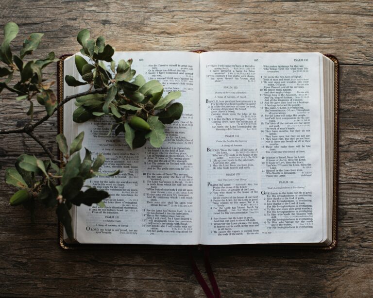 God’s Purpose and Plans